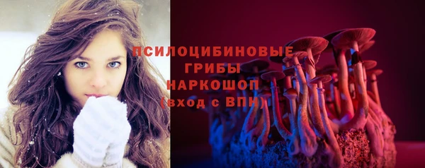 соль ск Белокуриха