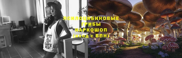 соль ск Белокуриха