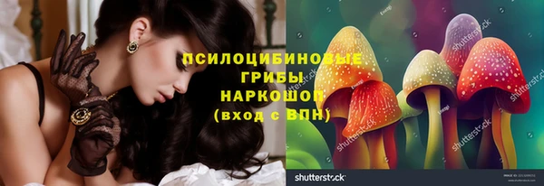 гашик Богданович