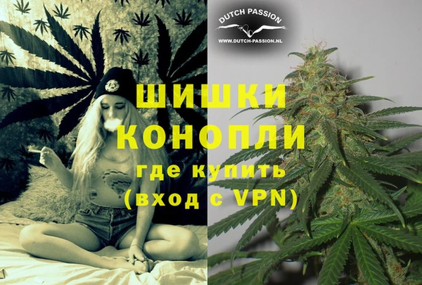 соль ск Белокуриха