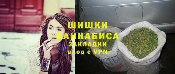 гашик Богданович