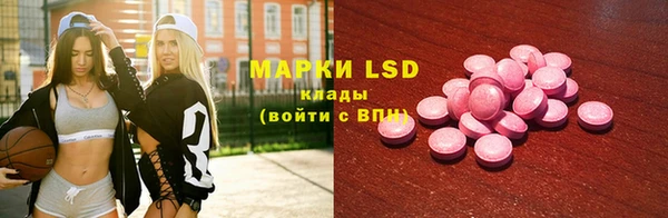 гашик Богданович